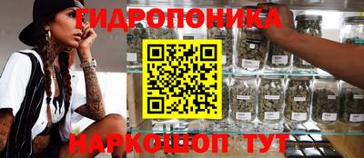 spice Баксан