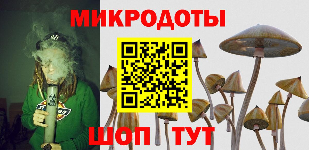 сколько стоит  Галлюциногенные грибы GOLDEN TEACHER  Псилоцибиновые грибы MAGIC MUSHROOMS  Вход с VPN  Пугачёв 